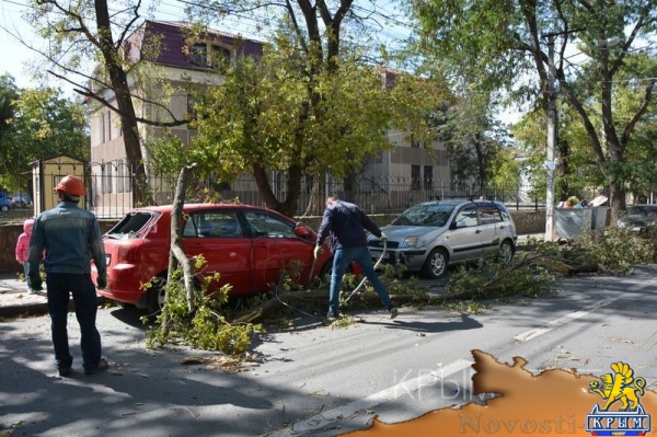 Ураган в Симферополе за сутки повалил 15 деревьев – повреждены электросети и десятки автомобилей - «Общество Крыма» Ураган в Симферополе за сутки повалил 15 деревьев – повреждены электросети и десятки автомобилей - «Общество Крыма»