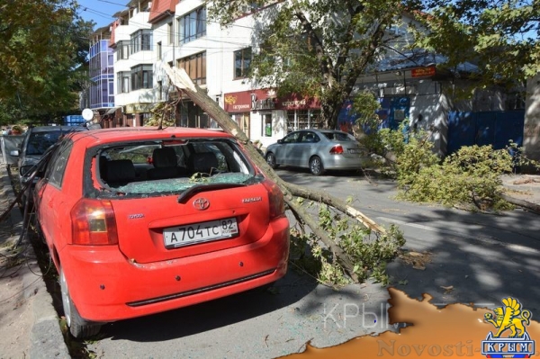 Ураган в Симферополе за сутки повалил 15 деревьев – повреждены электросети и десятки автомобилей - «Общество Крыма» Ураган в Симферополе за сутки повалил 15 деревьев – повреждены электросети и десятки автомобилей - «Общество Крыма»