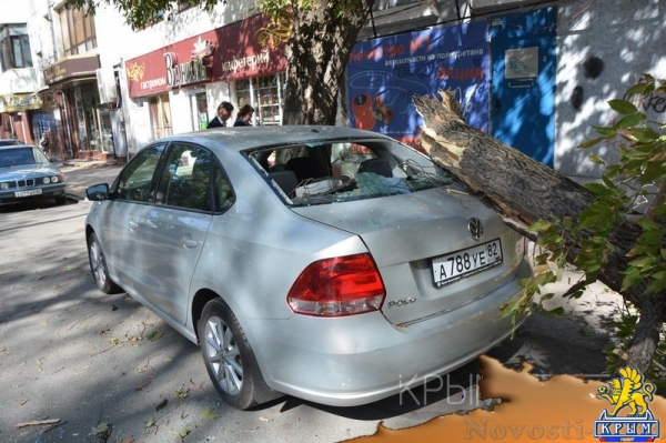 Ураган в Симферополе за сутки повалил 15 деревьев – повреждены электросети и десятки автомобилей - «Общество Крыма» Ураган в Симферополе за сутки повалил 15 деревьев – повреждены электросети и десятки автомобилей - «Общество Крыма»