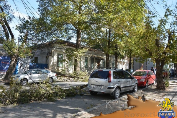 Ураган в Симферополе за сутки повалил 15 деревьев – повреждены электросети и десятки автомобилей - «Общество Крыма» Ураган в Симферополе за сутки повалил 15 деревьев – повреждены электросети и десятки автомобилей - «Общество Крыма»