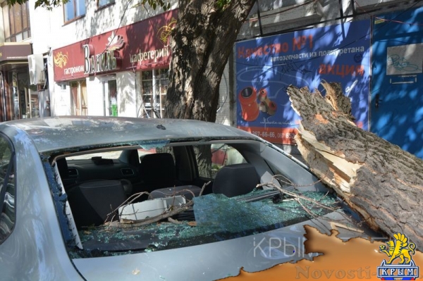 Ураган в Симферополе за сутки повалил 15 деревьев – повреждены электросети и десятки автомобилей - «Общество Крыма» Ураган в Симферополе за сутки повалил 15 деревьев – повреждены электросети и десятки автомобилей - «Общество Крыма»
