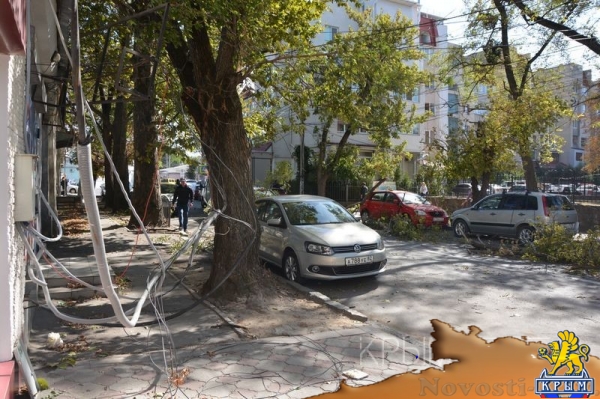 Ураган в Симферополе за сутки повалил 15 деревьев – повреждены электросети и десятки автомобилей - «Общество Крыма» Ураган в Симферополе за сутки повалил 15 деревьев – повреждены электросети и десятки автомобилей - «Общество Крыма»