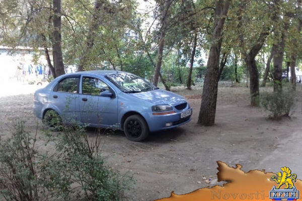 Почти 20 симферопольских автовладельцев заплатят штраф за парковку на газонах - «Спорт Крыма»