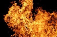 Крымчанка украла у односельчанина сейф с деньгами - «Новости Крыма»