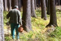 Крымские полицейские нашли без вести пропавшую пенсионерку - «Новости Крыма»