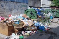 Власти Симферополя будут устанавливать границу городских лесов - «Новости Крыма»