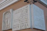 В симферопольском парке поселились необычные попугаи - «Новости Крыма»