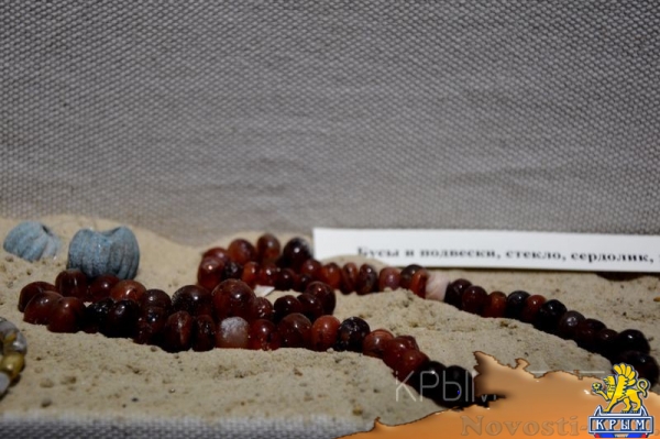 Выставка археологических находок, сделанных в районе энергомоста и трассы «Таврида», открылась в Симферополе - «Культура Крыма»