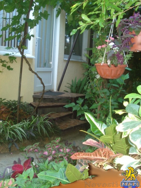 Отдых в Ялте. Первый этаж частного дома в Кастрополе(около Фороса).Две спальни,беседка с мангалом. Отдых в Крыму 2017 - жильё в Крыму без посредников - «Отдых в Ялте» Отдых в Ялте. Первый этаж частного дома в Кастрополе(около Фороса).Две спальни,беседка с мангалом. Отдых в Крыму 2017 - жильё в Крыму без посредников - «Отдых в Ялте»