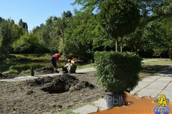 Руководство Гагаринского парка Симферополя нацелилось на превращение его в ботанический сад - «Общество Крыма»