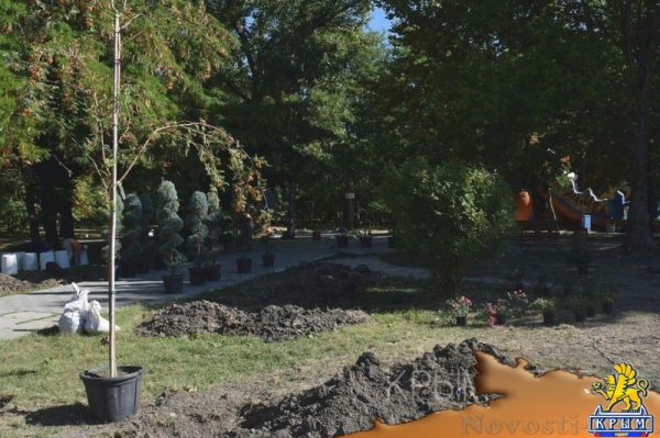 Гагаринский парк в Симферополе решили превратить в ботсад - «Новости Крыма»
