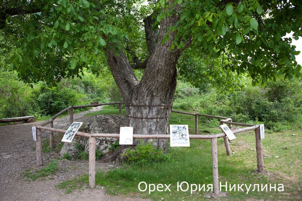 В течение 3 квартала этого года специалисты Госкомрегистра внесли в ЕГРН сведения о 130 особо охраняемых природных территориях - «Госкомрегистр»