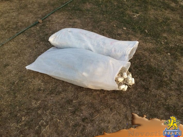 Украинские рыбаки закинули сети в российские воды залива Сиваш - «Общество Крыма»