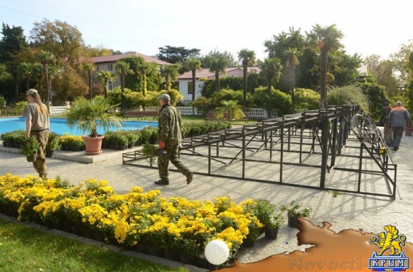 Селекционеры Никитского ботсада дали названия своим хризантемам по итогам народного голосования - «Общество Крыма» Селекционеры Никитского ботсада дали названия своим хризантемам по итогам народного голосования - «Общество Крыма»