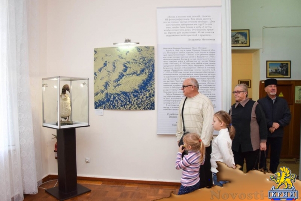 Фотовыставка северных пейзажей открылась в Евпатории - «Общество Крыма»