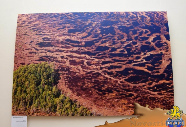 Фотовыставка северных пейзажей открылась в Евпатории - «Общество Крыма»