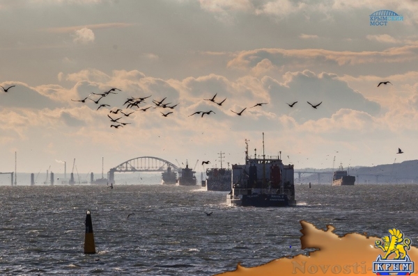 Ученые завершают осенний подсчет дельфинов в районе строительства Крымского моста - «Возвращение в Россию»