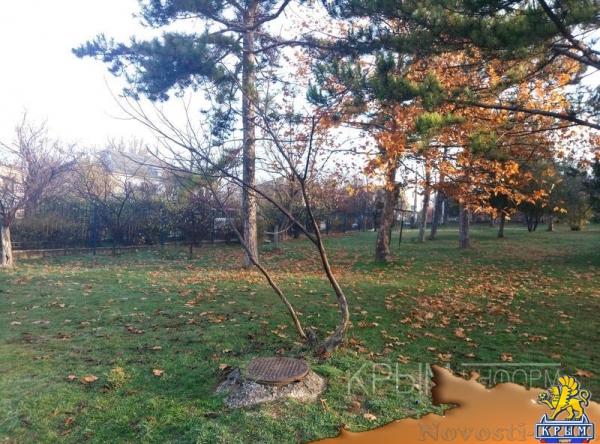 Масштабные работы по благоустройству начались в сквере возле студгородка в Симферополе - «Культура Крыма»