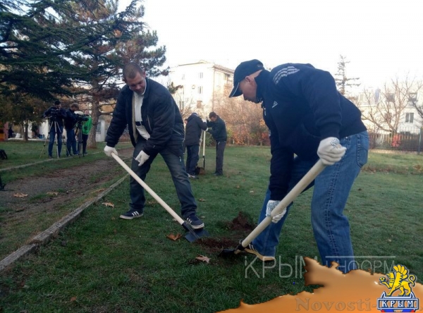 Масштабные работы по благоустройству начались в сквере возле студгородка в Симферополе - «Культура Крыма»