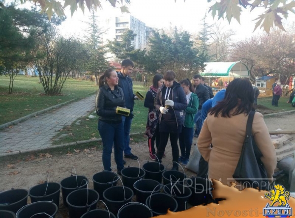 Масштабные работы по благоустройству начались в сквере возле студгородка в Симферополе - «Культура Крыма»