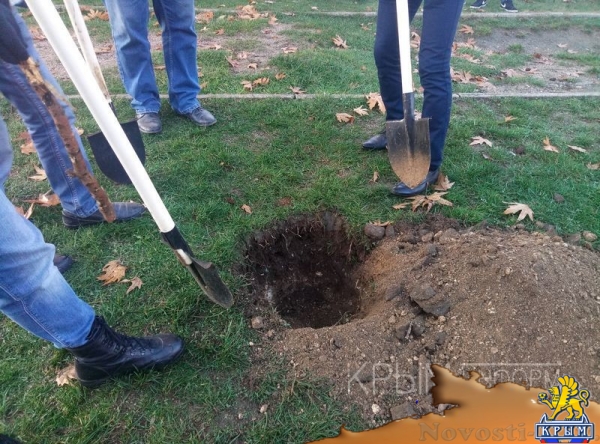 Масштабные работы по благоустройству начались в сквере возле студгородка в Симферополе - «Культура Крыма»