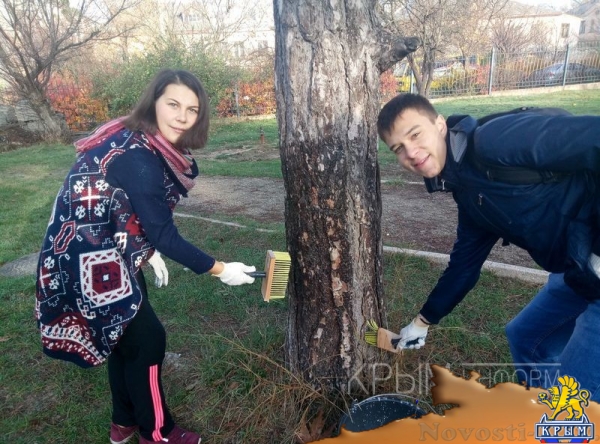 Масштабные работы по благоустройству начались в сквере возле студгородка в Симферополе - «Культура Крыма»