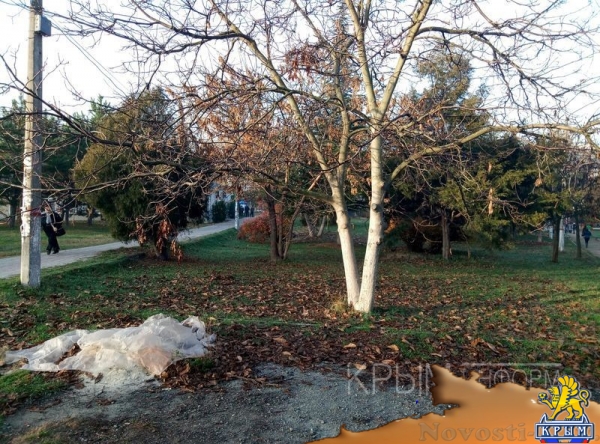 Масштабные работы по благоустройству начались в сквере возле студгородка в Симферополе - «Культура Крыма»