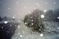 В четверг в Крыму до 16 градусов тепла - «Новости Крыма»