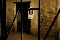 Крымчанина поймали на обочине дороги со срубленной сосной - «Новости Крыма»