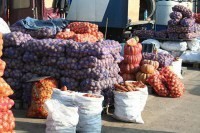 В Крыму Госкомрегистр проверил более сотни своих служащих - «Новости Крыма»