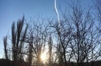 Водитель авто, въехавшего на остановку в Севастополе, оказался экзаменатором ГИБДД - «Новости Крыма»