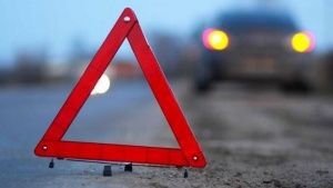 Водитель из Евпатории порвал себе глаз о дерево - «Происшествия»