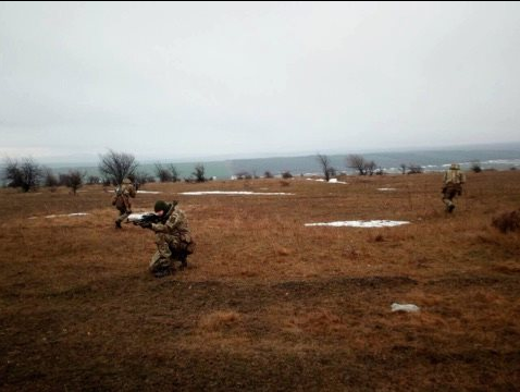 Украинские морпехи приняли участие в многонациональных учениях «Платинум Игл — 2018-1» в Румынии - «Политика»