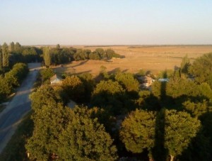 Глава Крыма поручил решить проблему с транспортом в Советском районе - Общество - - «Новости Крыма»