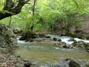 Крымские спасатели вытащили из реки мужчину - «Происшествия Крыма»