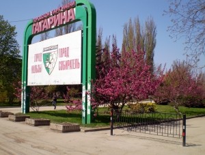 В крымской столице состоится пожарно-спасательный флешмоб - Общество - - «Новости Крыма»