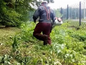 Прокуратура Феодосии возбудила уголовное дело за завышение площади покоса травы - «Происшествия Крыма»