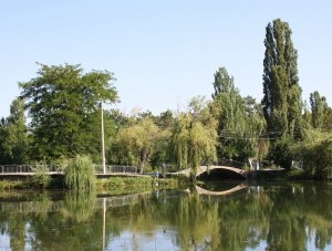 Столица полуострова готовится к майским праздникам - Общество - - «Новости Крыма»