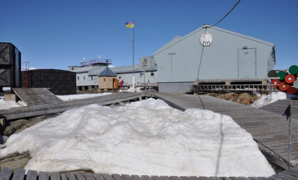 «Интерпромфлот» без торгов получил 32 млн грн на более дешевую срочную экспедицию в Антарктиду - «Коррупция»