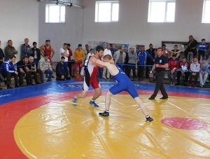В Судаке пройдет Всероссийский турнир по грекоримской борьбе - «Общество Крыма»
