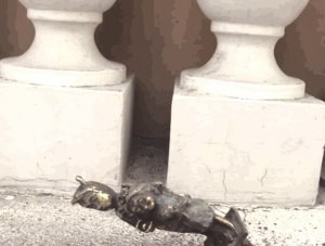 Статуэтку симферопольских пчёлмолодоженов повредили вандалы - «Общество Крыма»