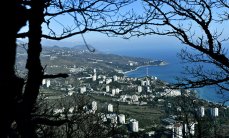 Сенатор ответила на планы Киева провести украинские выборы для крымчан - «Политика»