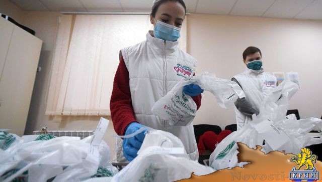 Политолог назвал волонтеров главной кадровой базой для партии власти - «Политика»