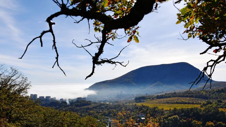 В Крыму предлагают закрепить в законодательстве термин «гостевой дом» - «Политика»
