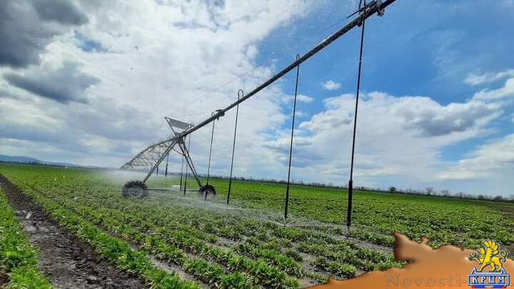 Андрей Рюмшин: Валовое производство продукции АПК в республике может вырасти до 20% благодаря устойчивому водоснабжению полуострова - «Экономика»