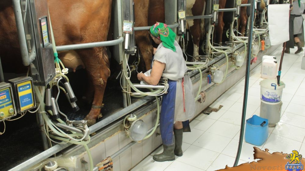 Поздравление заместителя Председателя Совета министров РК - министра сельского хозяйства РК Андрея Рюмшина со Всемирным Днем молока - «Экономика»