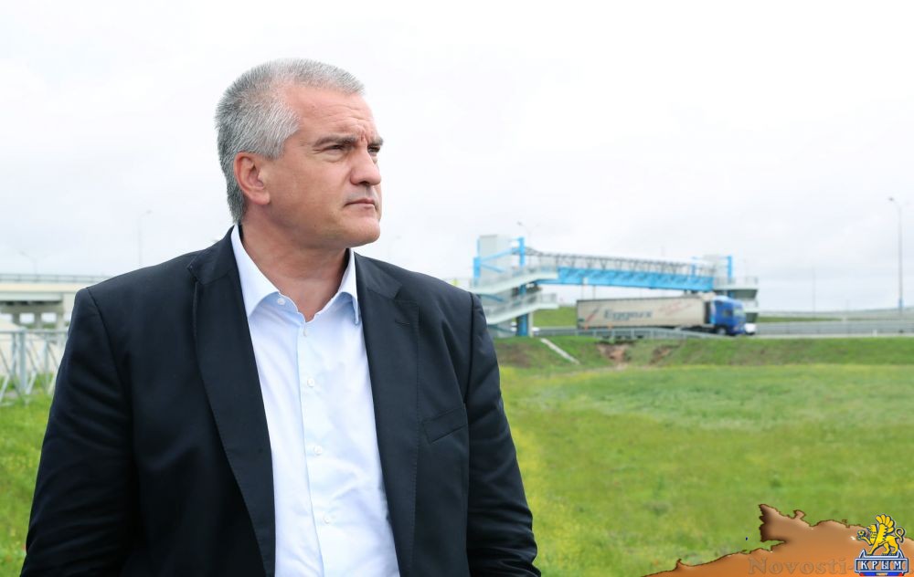 У нацменьшинств Украины отняли даже самые элементарные права — Аксёнов - «Политика»