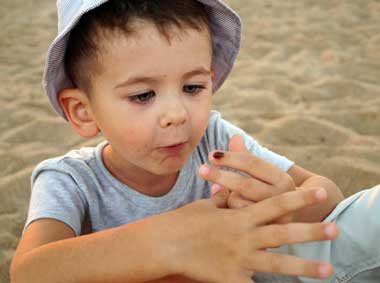 «Божья коровка, улети на небо...» - «Новости Крыма»