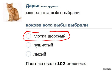 Да у нас и на федеральных каналах нередко говорят: «Купил пару носок» - «Новости Крыма»