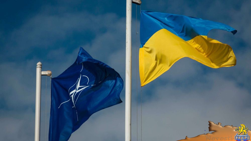 США открывают для Украины дверь в НАТО – Путин - «Политика»